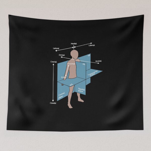 Item preview, Dorsal Ventral Planes Of Human Body - Nurse Or Physician designed and sold by HiddenVerb.