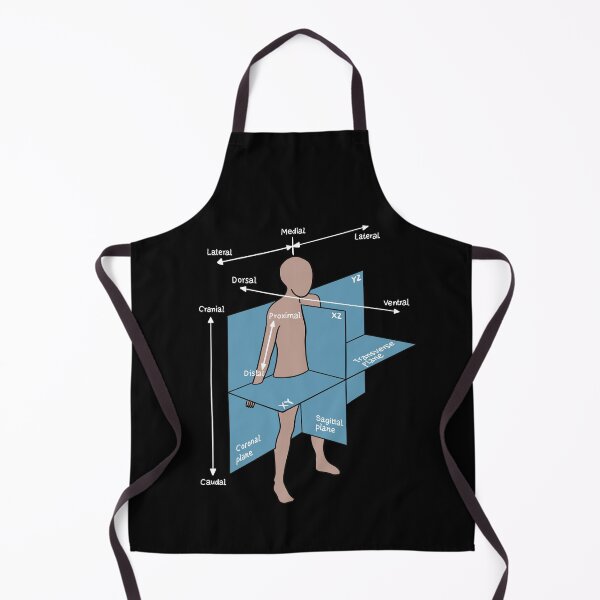 Item preview, Dorsal Ventral Planes Of Human Body - Nurse Or Physician designed and sold by HiddenVerb.