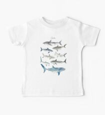 Sharks Baby Tee
