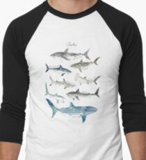Sharks Men's Baseball ¾ T-Shirt
