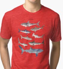 Sharks Tri-blend T-Shirt