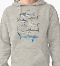 Sharks Pullover Hoodie