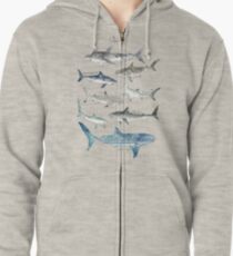 Sharks Zipped Hoodie