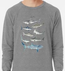 Sharks Lightweight Sweatshirt