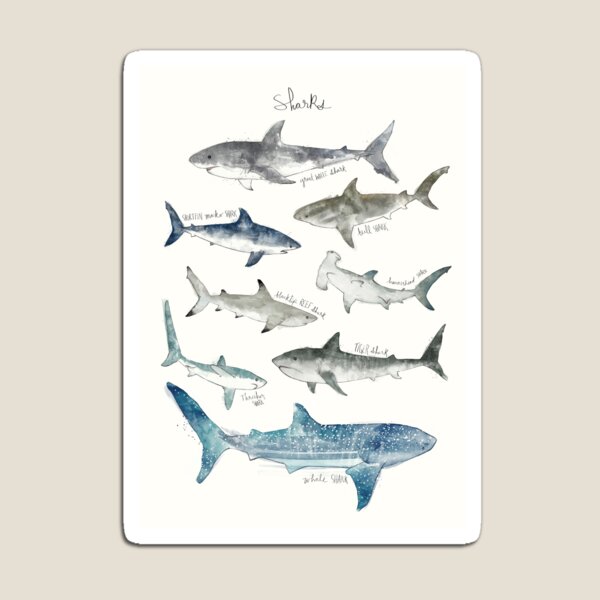 Aperçu de l'œuvre les requins créée et vendue par Amy Hamilton.