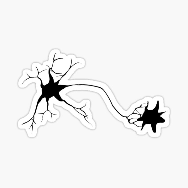 Neuroplasticity Sticker