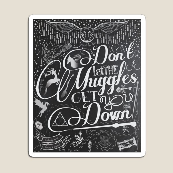 Don't let the Muggles get you down Magnet
