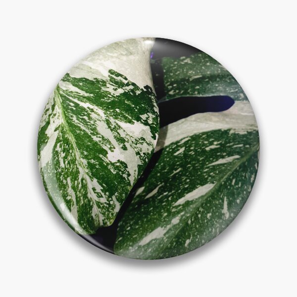 Item preview, Monstera designed and sold by drawing4plants.