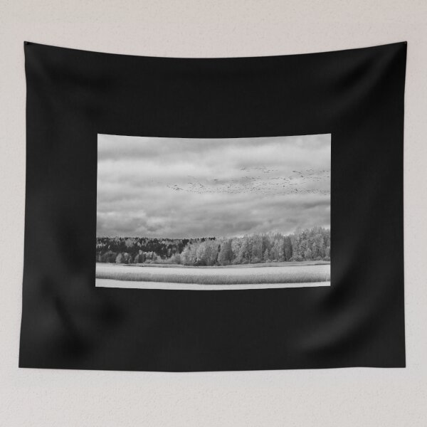Item preview, Barnacle geese over the Autumn lake bw designed and sold by Jouko Lehto Photography.