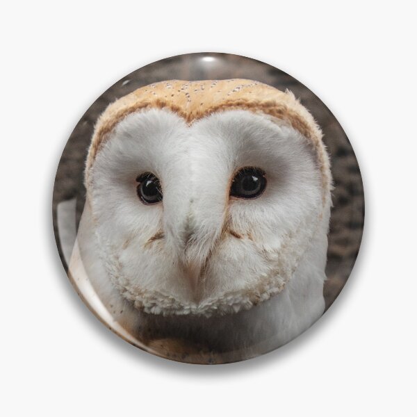 Item preview, Cute owl - barn owl designed and sold by Alex-Kuhn.