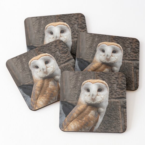 Item preview, Cute owl - barn owl designed and sold by Alex-Kuhn.