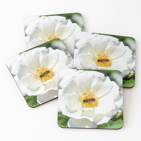 Item preview, Close up on a bee on a white flower designed and sold by moroccandreamer.