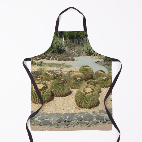 Item preview, Small Cacti, Parque de la Paloma, Benalmadena designed and sold by DRS-Edinburgh.
