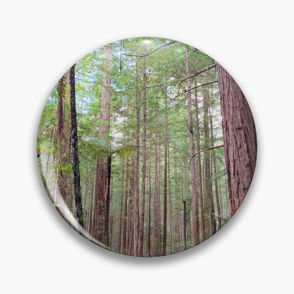 Item preview, Redwood Trees Forest New Zealand designed and sold by ChloeDickenson.