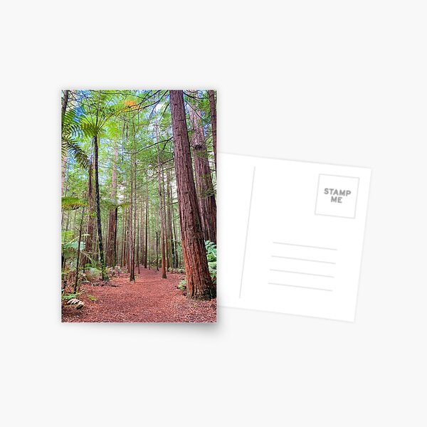 Item preview, Redwood Trees Forest New Zealand designed and sold by ChloeDickenson.