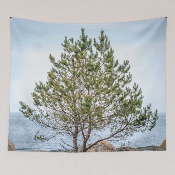 Item preview, Lonely Pine Tree  designed and sold by EverydayHermit.