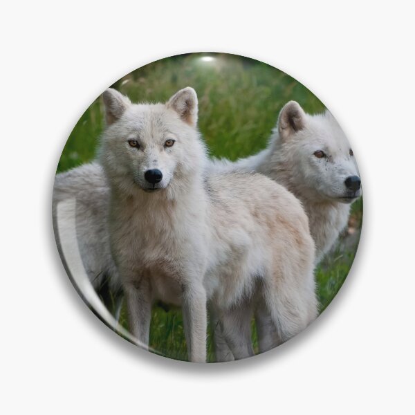 Item preview, Arctic Wolves designed and sold by WolvesOnly.