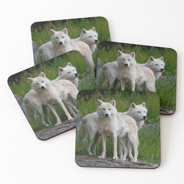 Artikelvorschau, Arctic Wolves entworfen und verkauft von WolvesOnly.