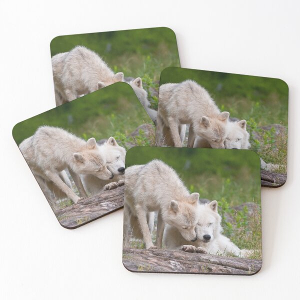 Item preview, Arctic Wolves designed and sold by WolvesOnly.