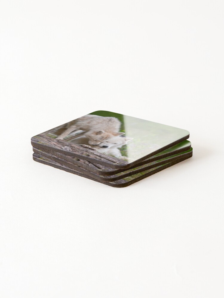Thumbnail 4 of 5, Coasters (Set of 4), Arctic Wolves designed and sold by WolvesOnly.