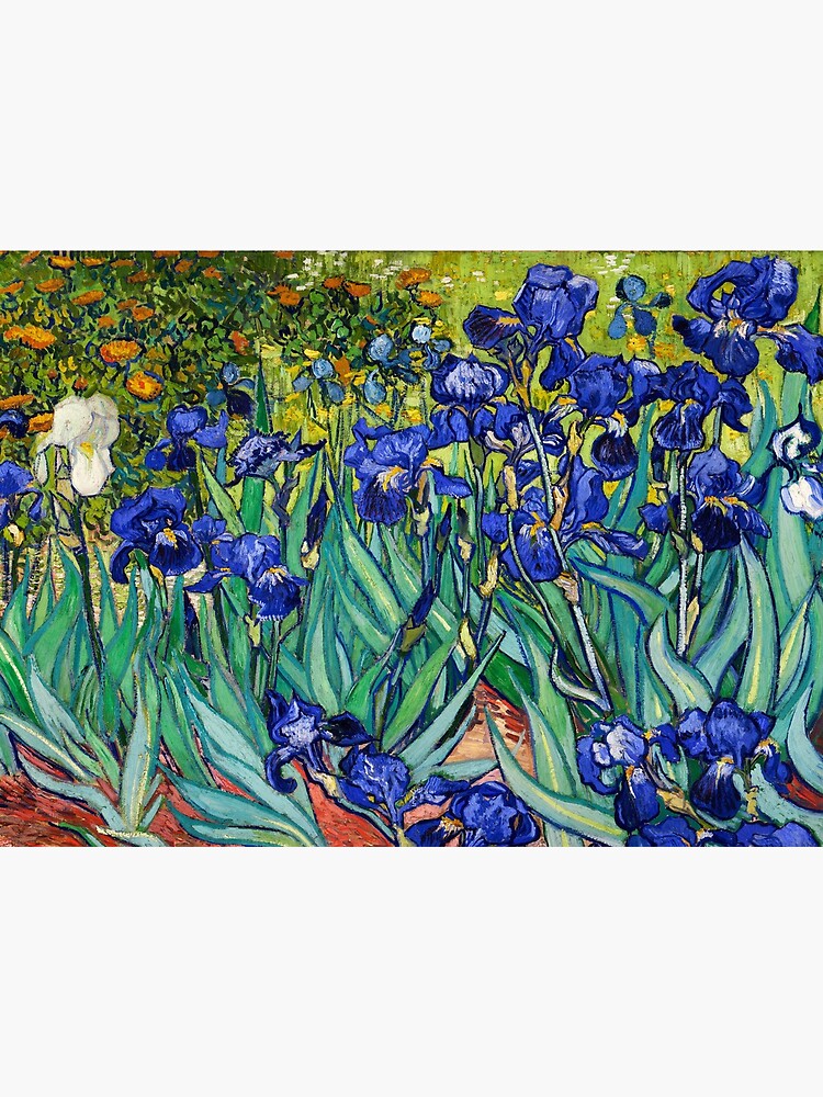Irises by Vincent van Gogh by VintageArchive
