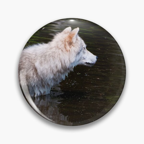 Artikelvorschau, Arctic Wolf entworfen und verkauft von WolvesOnly.