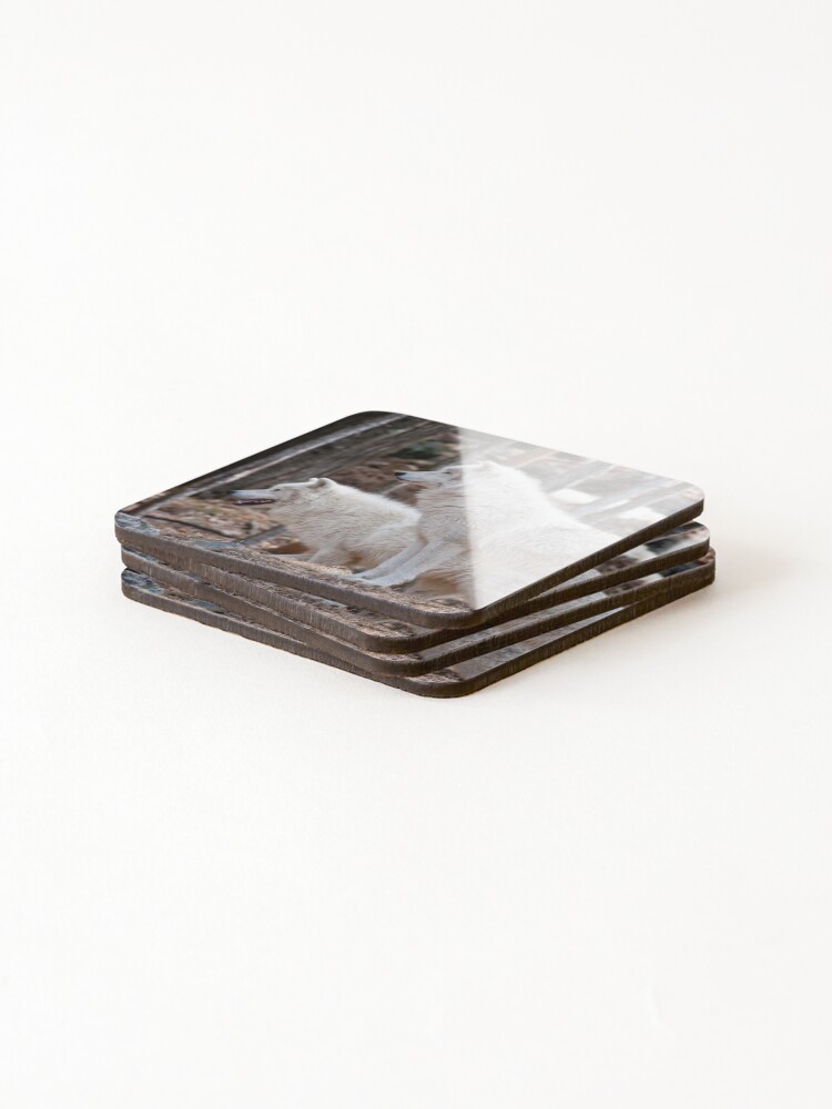 Thumbnail 4 of 5, Coasters (Set of 4), Arctic Wolves designed and sold by WolvesOnly.