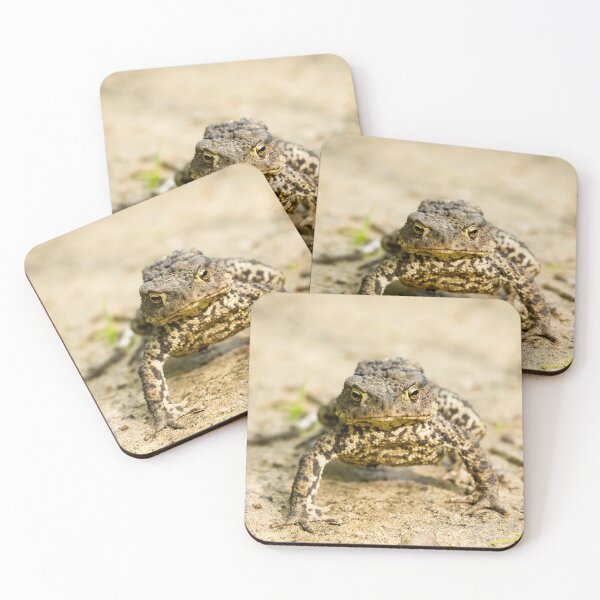 Item preview, Toad on a Path designed and sold by Jane Stanley Photography.