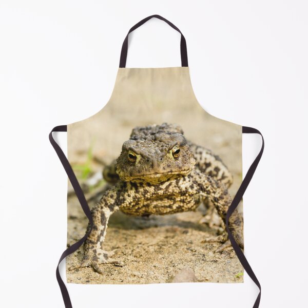 Item preview, Toad on a Path designed and sold by Jane Stanley Photography.