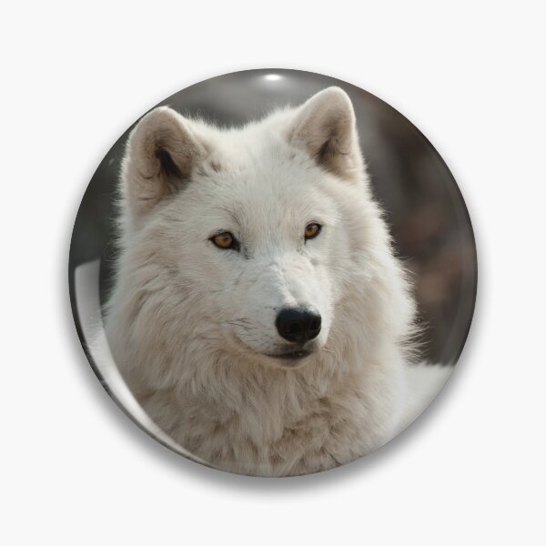 Item preview, Arctic Wolf designed and sold by WolvesOnly.