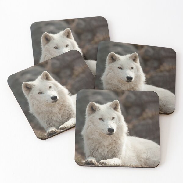 Item preview, Arctic Wolf designed and sold by WolvesOnly.