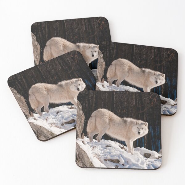 Item preview, Arctic Wolf designed and sold by WolvesOnly.