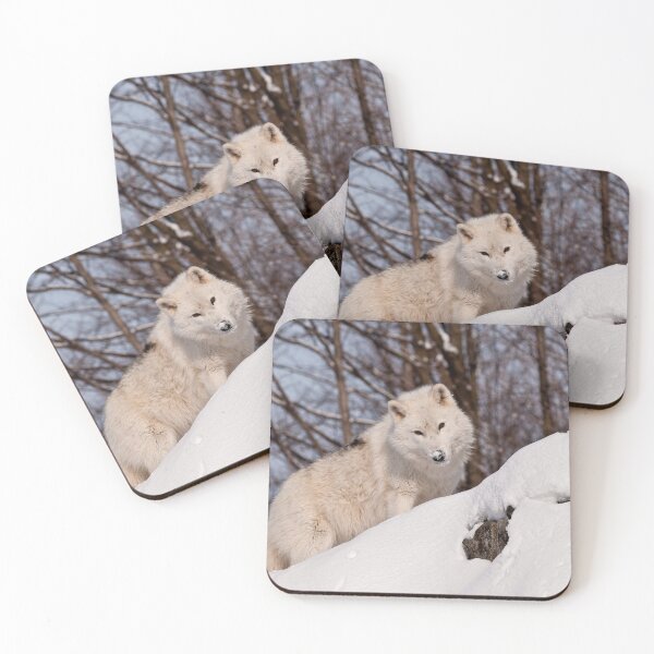Item preview, Arctic Wolf designed and sold by WolvesOnly.