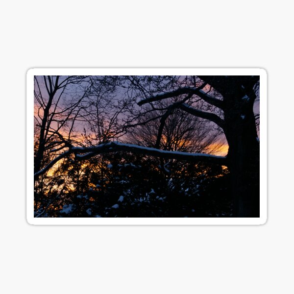 Beauty of Winter, II Sticker