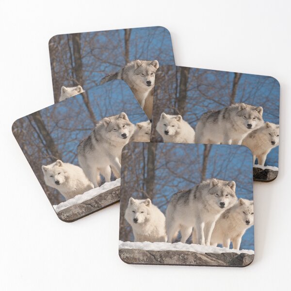 Item preview, Arctic Wolves designed and sold by WolvesOnly.