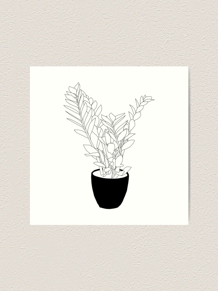 ZZ Plant Signed Art Print, Black and White Botanical Photo, Minimalist Decor, Gift for Plant retailer Lover