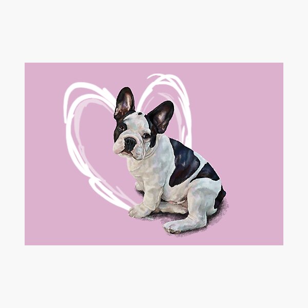 Artikel-Vorschau von Die französische Bulldogge, designt und verkauft von Elspeth Rose Design.