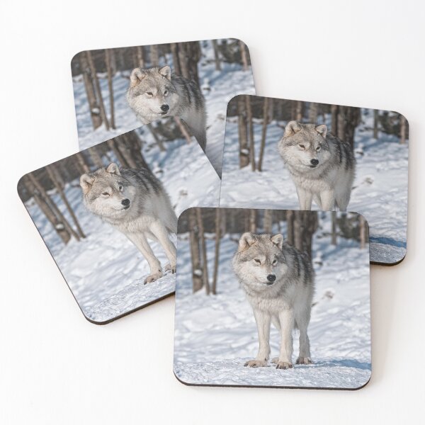 Item preview, Arctic Wolf designed and sold by WolvesOnly.