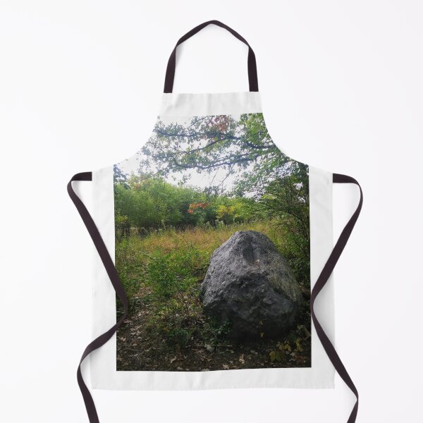 Item preview, Small Boulder in the Forest designed and sold by NathanMoore92.