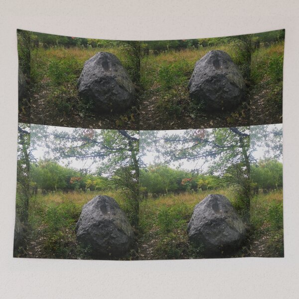 Item preview, Small Boulder in the Forest designed and sold by NathanMoore92.
