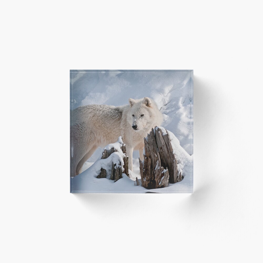 Vista previa del artículo con la obra «Bloque acrílico», diseñado y vendido por WolvesOnly.