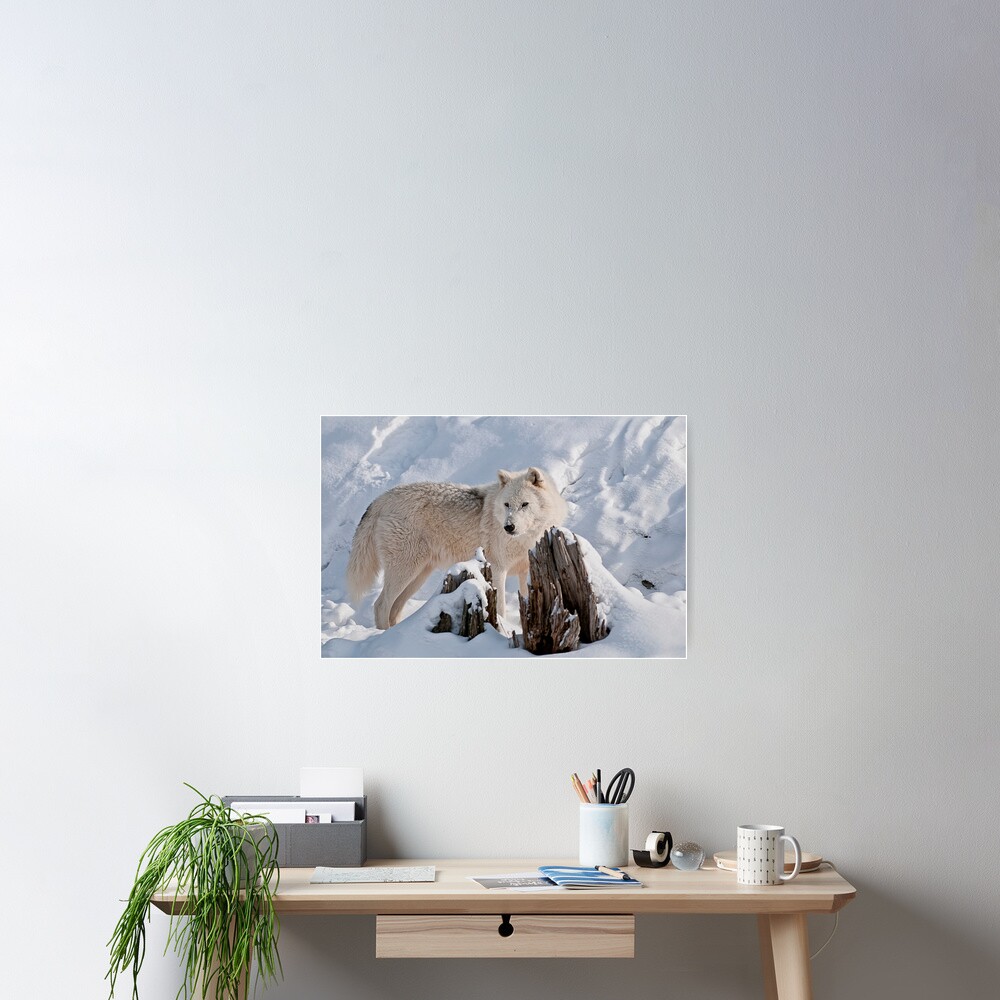 Vista previa del artículo con la obra «Póster», diseñado y vendido por WolvesOnly.
