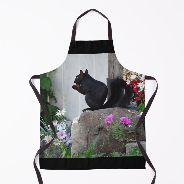 Item preview, Black Squirrel Rock designed and sold by cuisinecat2.
