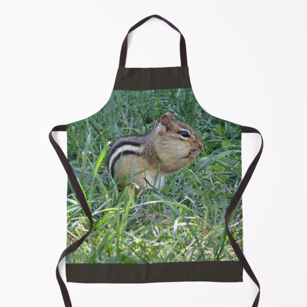 Item preview, Chipmumk stuffing his face full of seeds designed and sold by cuisinecat2.