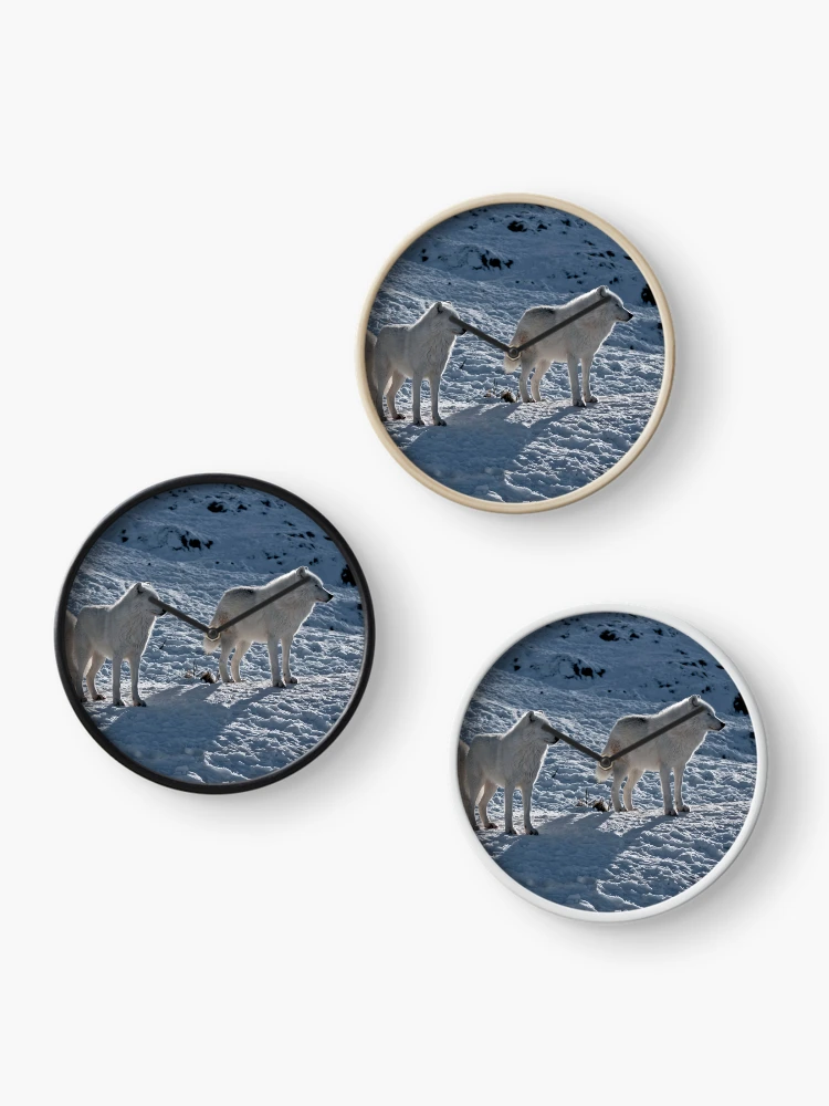 Thumbnail 3 of 4, Clock, Arctic Wolves In Early Morning designed and sold by WolvesOnly.