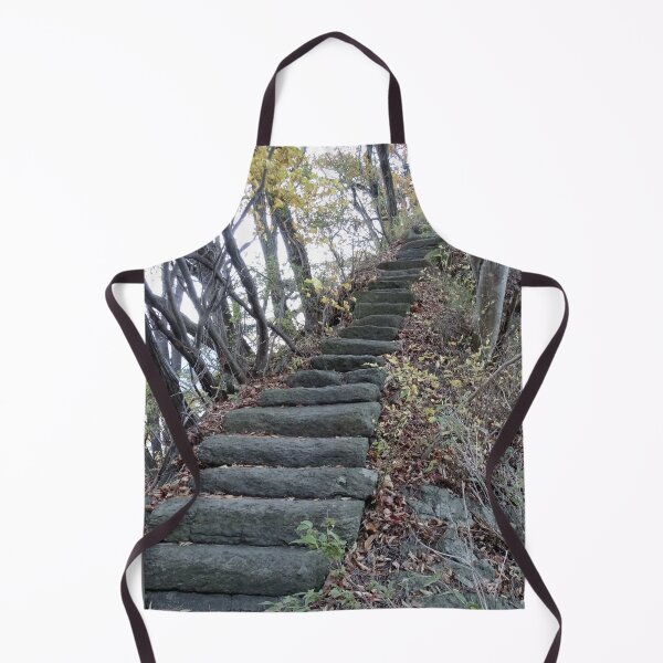 Artikelvorschau, Treppe ins Nirgendwo in einem japanischen Garten entworfen und verkauft von cuisinecat2.