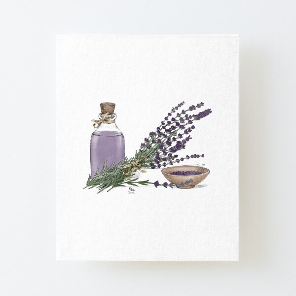 Lavender Aufgezogener Druck auf Leinwandkarton