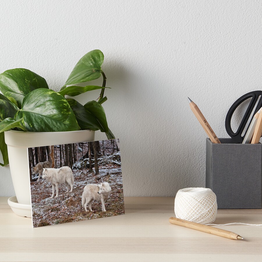Artikel-Vorschau von Galeriedruck, designt und verkauft von WolvesOnly.