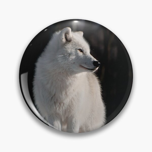 Item preview, Arctic Wolf designed and sold by WolvesOnly.