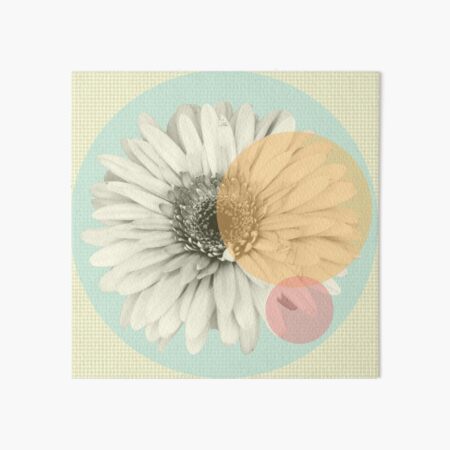 Gerbera mit Pastell Kreisen Galeriedruck